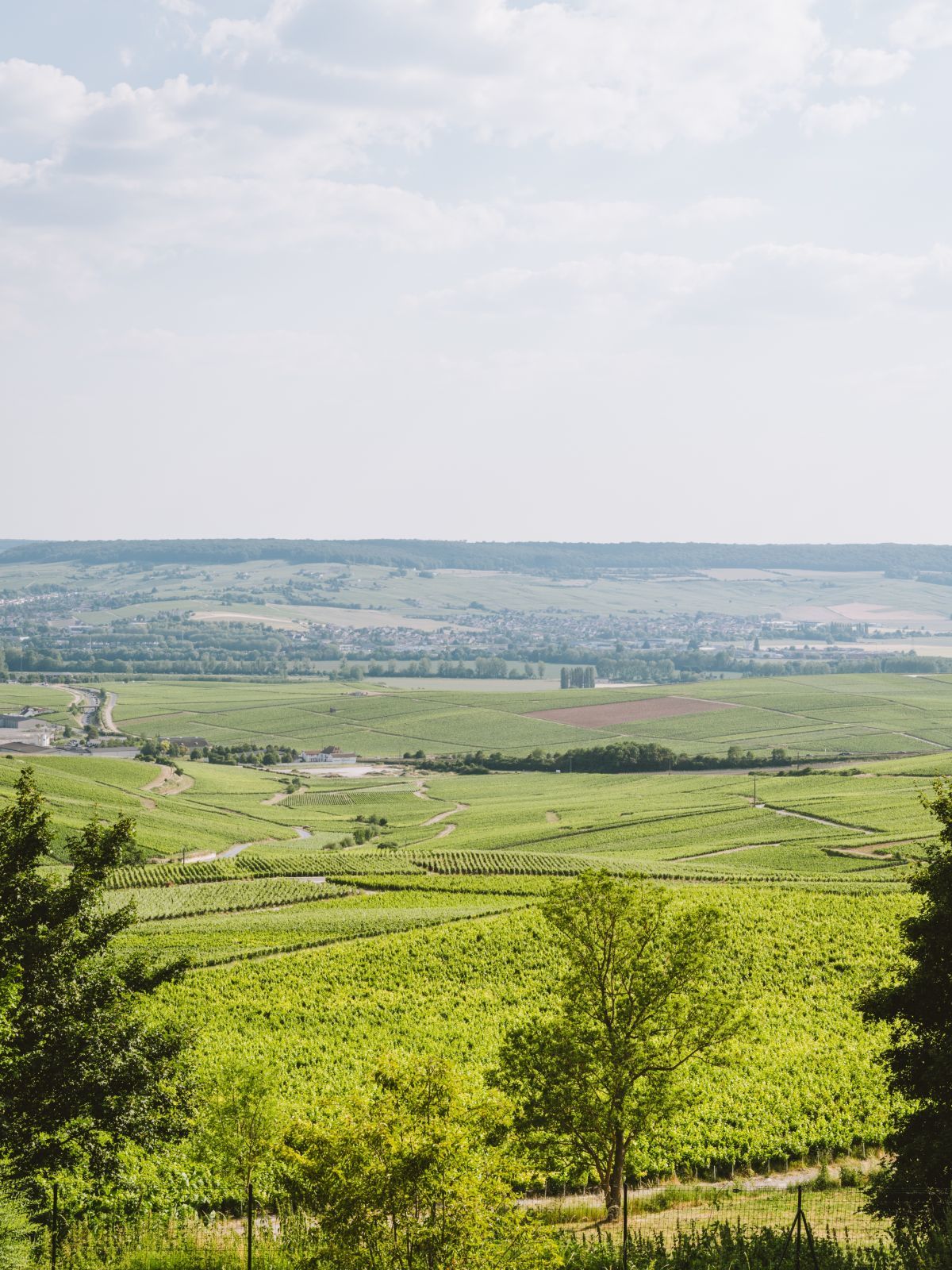 Royal Champagne Hotel & Spa - Panoramic Suite