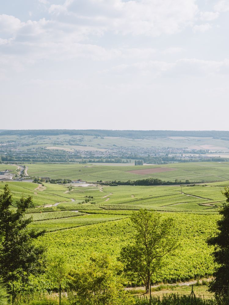 Royal Champagne Hotel & Spa - Panoramic Suite